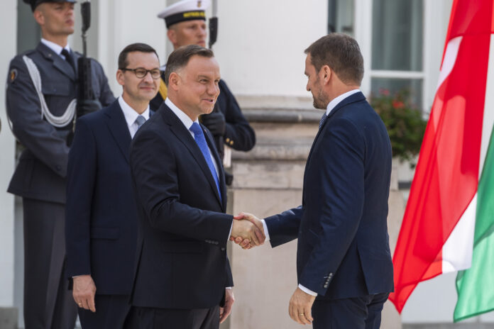 Po¾ský premiér a prezident privítali premiérov krajín V4