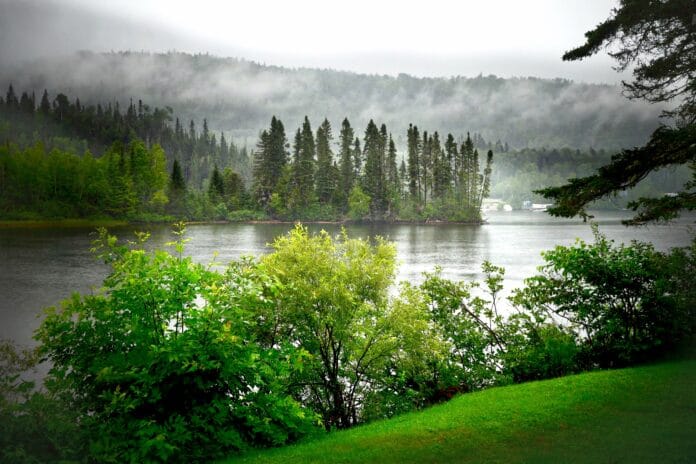 landscape, summer, nature