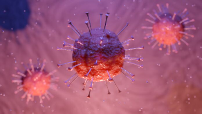 corona, virus, corona virus