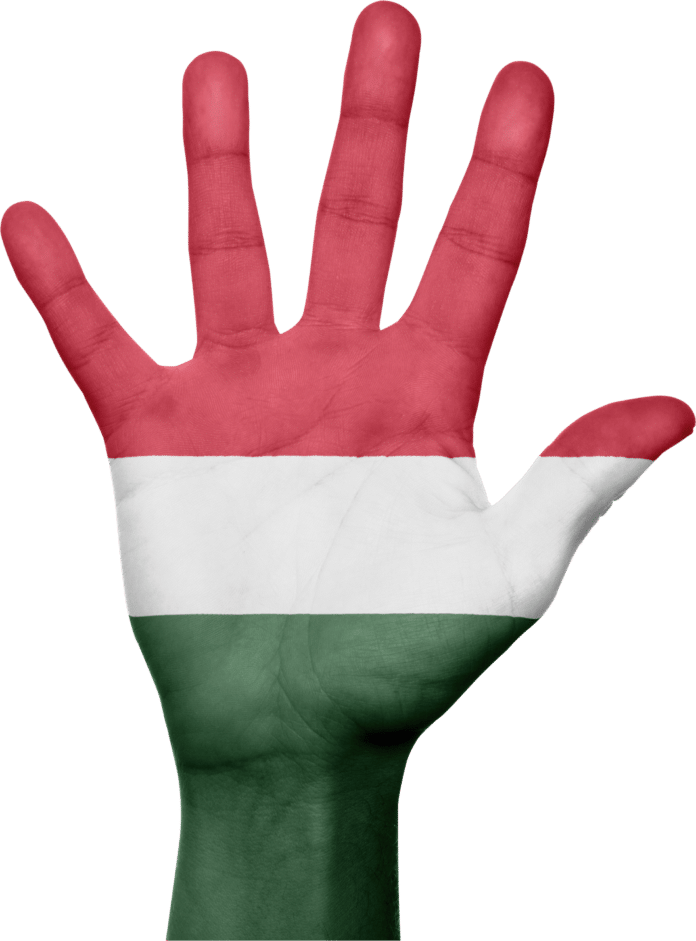 hungary-flag-hand-stockpack-pixabay.png hungary, flag, hand