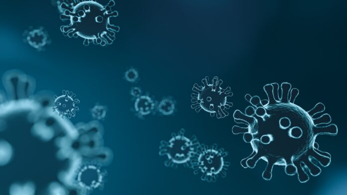virus-viruses-coronavirus-stockpack-pixabay.jpg virus, viruses, coronavirus