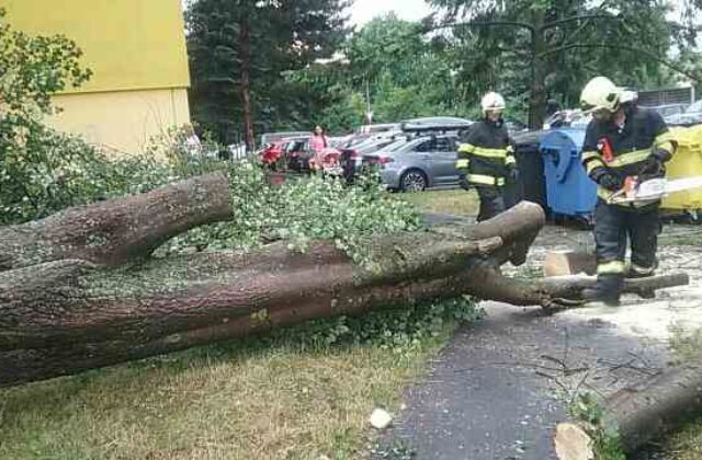 Hasiči zasahovali v Žilinskom kraji počas dažďov a silného vetra