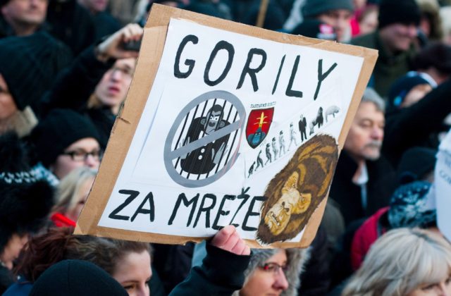 Nahrávka Gorily má byť zničená