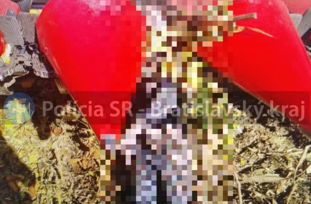 Bratislavská polícia musela riešiť veľmi netradičný prípad