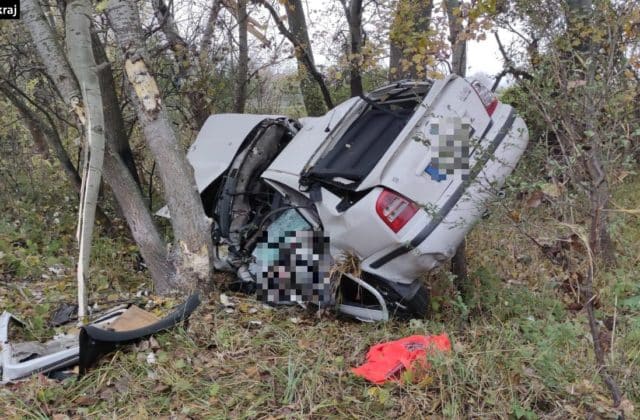 Auto zišlo mimo cestu a narazilo do stromu