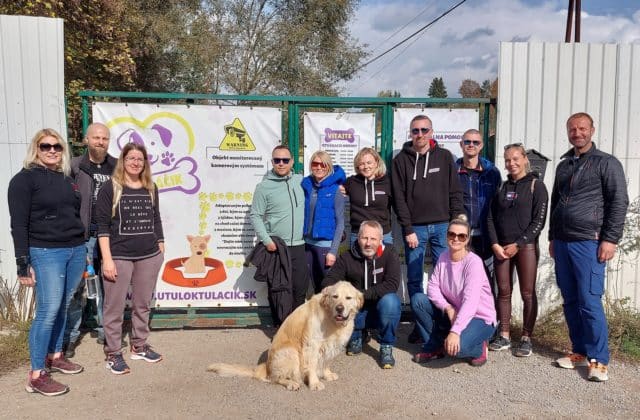 Pet-friendly kancelárie