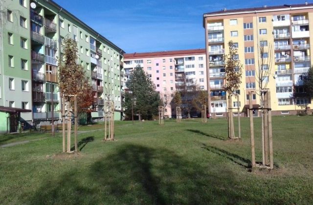 Pobočka Colného úradu v Starej Ľubovni avizuje zmeny