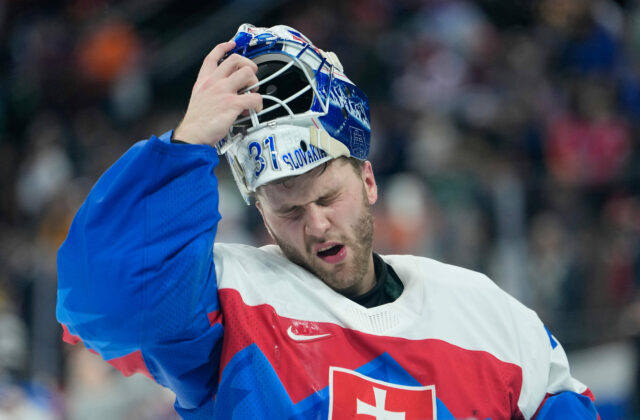 Český skaut brankárov by do NHL vzal Gajana. Hlavaj však v profilige nemá budúcnosť