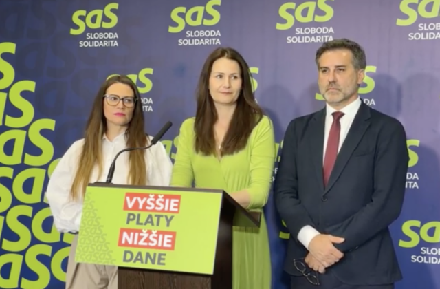 Liberáli kritizujú ministerstvo kultúry