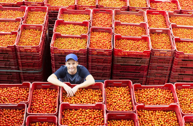 Slovensko ťahá exportný rekord španielskeho regiónu Granada